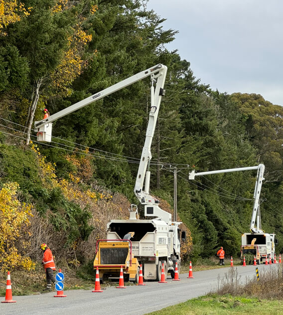 power line clearing by arbor-tek christchurch